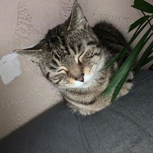 Meet your Posher, Luke